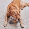 Dog Walking Socks - Springer Spaniel (Black & White)