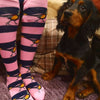 Pink & Navy Long Pheasant Welly Socks