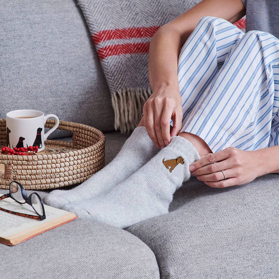 Dog Walking socks -  Cocker Spaniel (Golden)