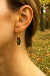 Labradorite Dangle Earring Raw Gold Plated Hook Earrings
