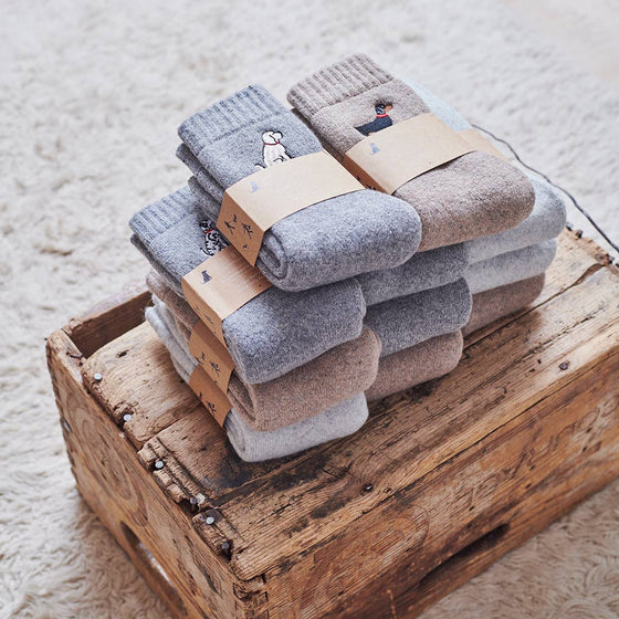 Dog Walking Socks - Border Collie