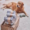 Dog Walking Socks - Springer Spaniel (Black & White)