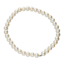  Freshwater Pearl & Silver Bracelet