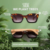QUEST ROCKY TORT l Sunglasses l Polarised Lens l Walnut Arms