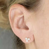 Trio of Shell Pearl & Silver Stud Earrings