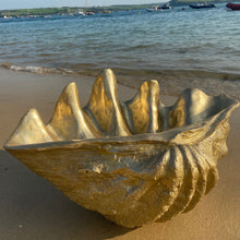  Large Gold Clam Shell Sculpture