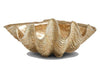 Large Gold Clam Shell Sculpture